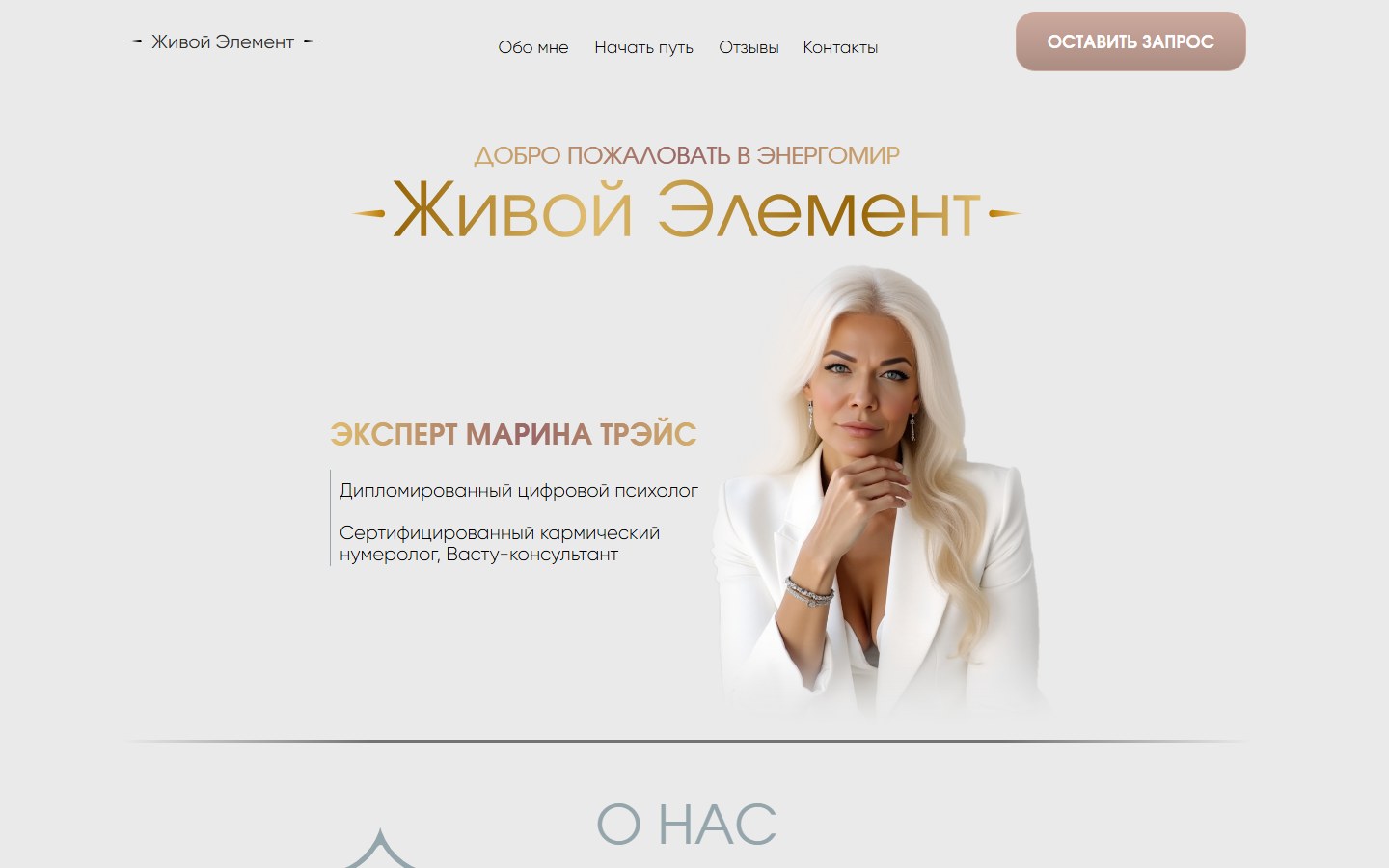Подключение онлайн-оплаты на сайте компании — Живой Элемент